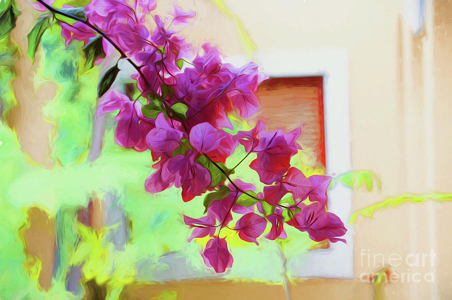 Impressionism Photograph - Bougainvillea in courtyard by Sheila Smart Fine Art Photography