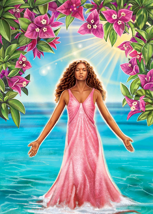 Bougainvillea - Purify by Anne Wertheim Bougainvillea - Purify by Anne Wertheim