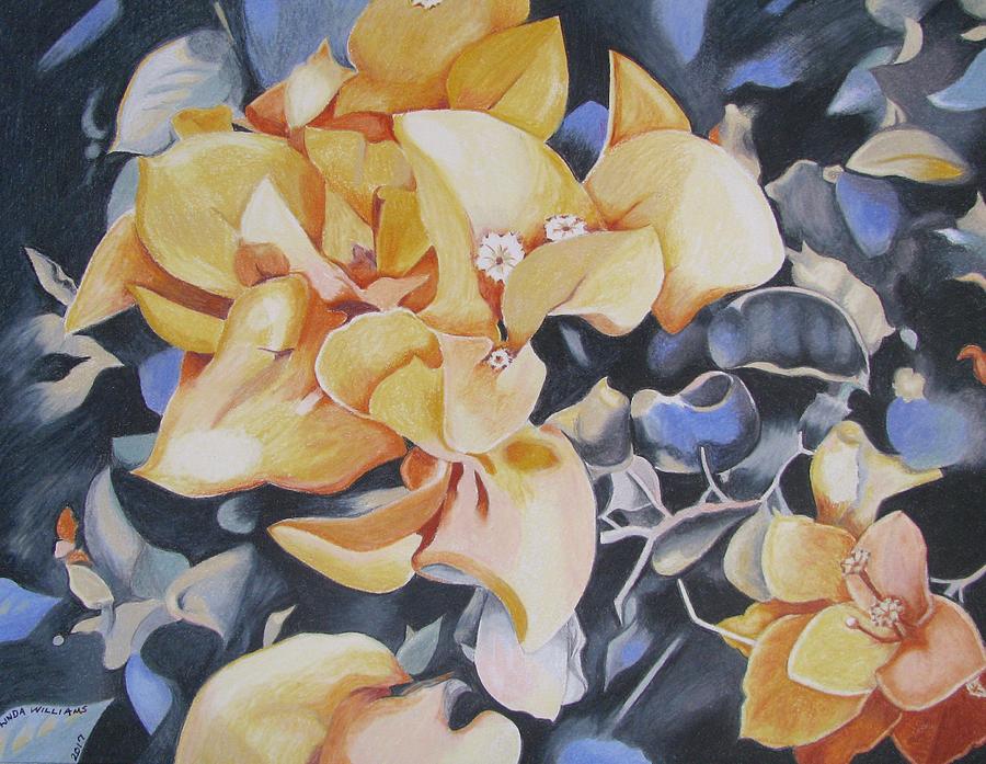 Bouganvillea by Moonlight Drawing by Linda Williams