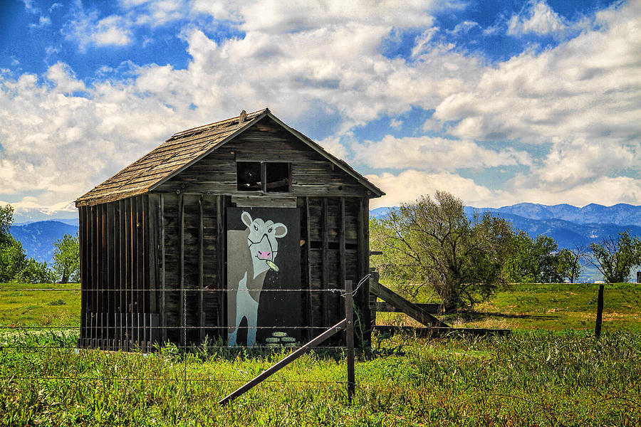 Boulder Barn Photograph by Juli Ellen
