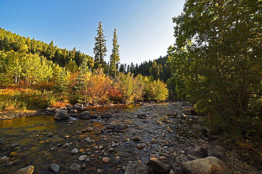 Boulder Colorado Canyon Creek Fall Foliage Photograph by Toby McGuire