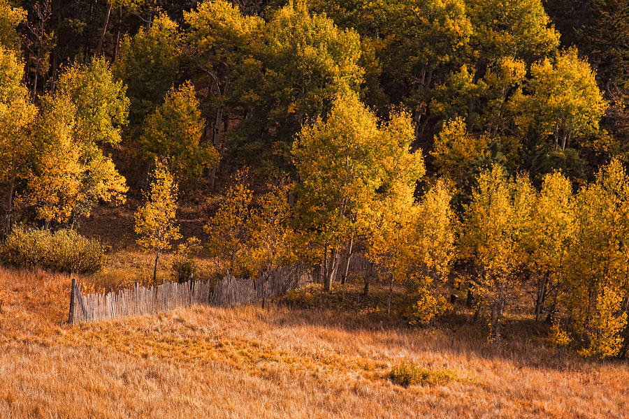 Boulder County Colorado Autumn Landscape Photograph by James BO Insogna