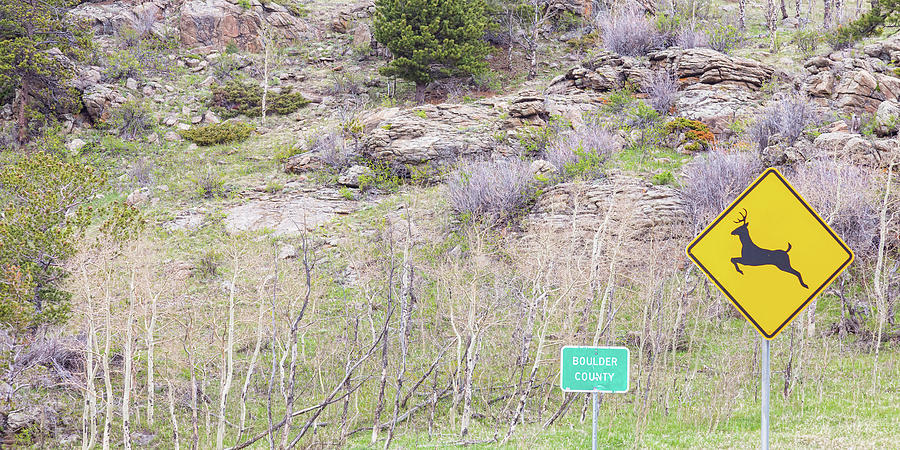 Boulder County Deer Crossing Signs Panoramic Photograph