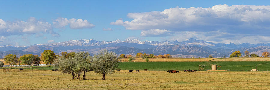 Boulder County Front Range Panorama View Photograph by James BO Insogna