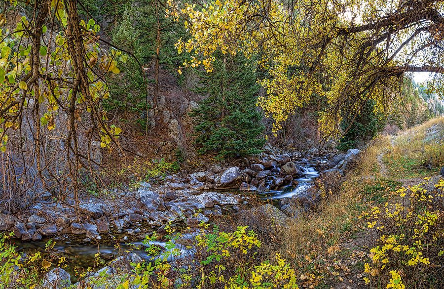 Boulder Creek Autumn View  Photograph by James BO Insogna