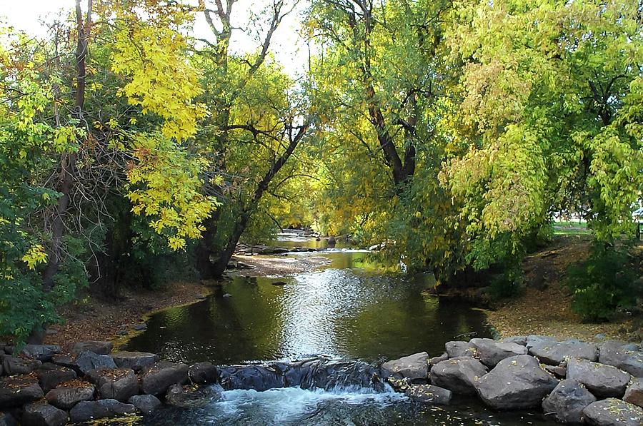 Boulder Creek Tumbling Through Early Fall Foliage Photograph by NaturesPix