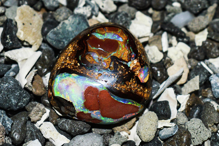 Opal Photograph - Boulder Opal #1 by Troy Q Nelson