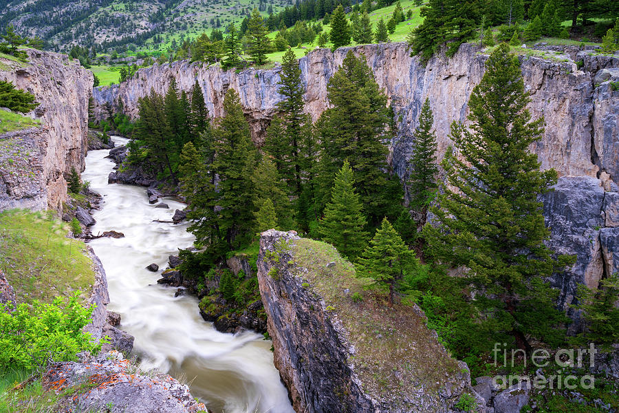 Boulder River Canyon Photograph by Aaron Whittemore