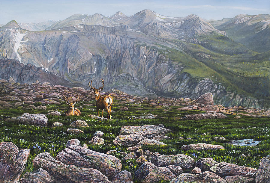 Boulderfield Bucks Painting by Aaron Spong