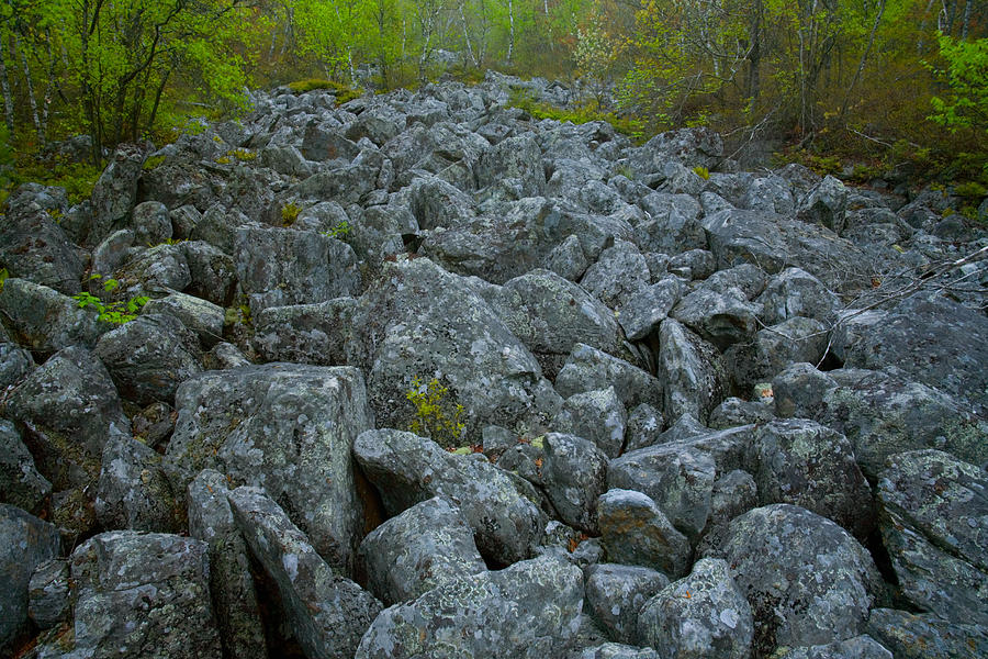 Boulders and Spring Forest Photograph by Irwin Barrett