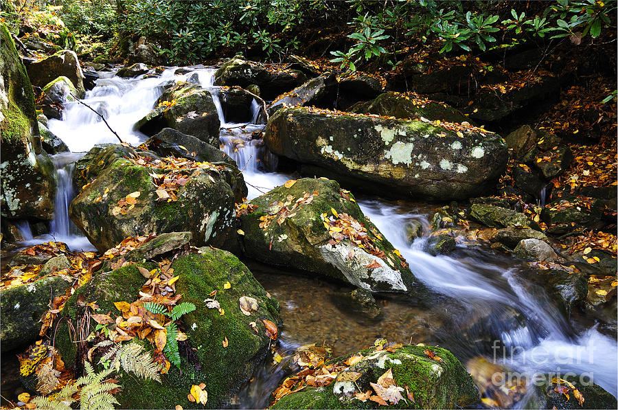Fall Photograph - Boulders and Stream by Thomas R Fletcher