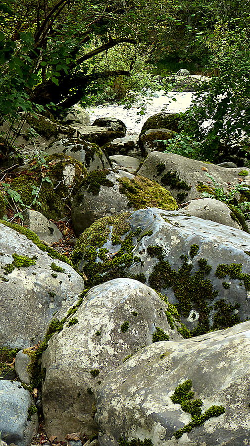 Boulders at Kanaskat Photograph by Lori Seaman