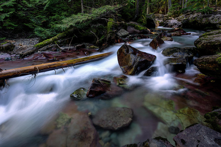 Boulders in Avalanche Creek Photograph by Rick Strobaugh