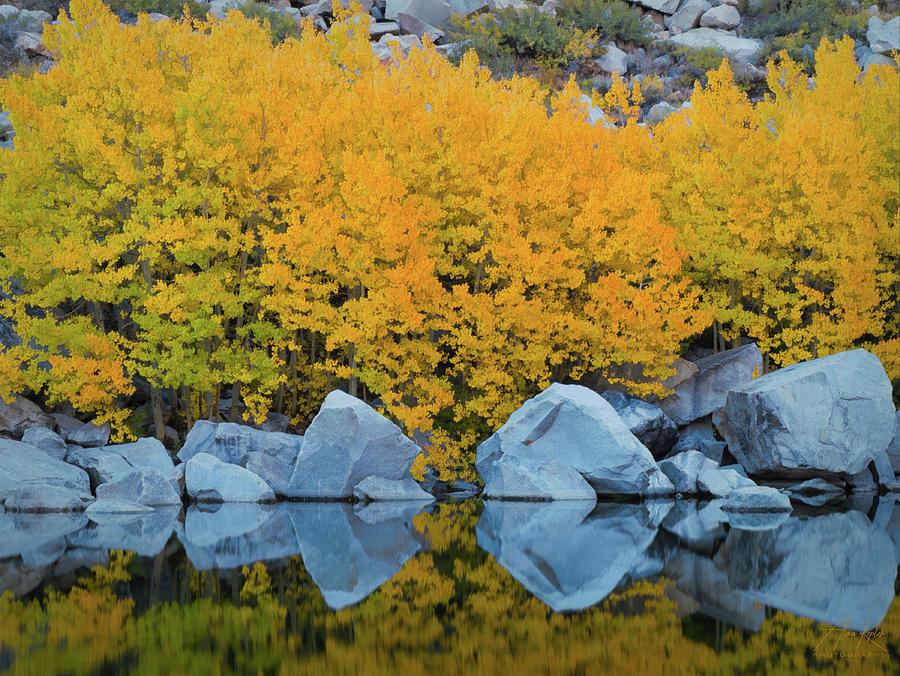Boulders In Fall Photograph