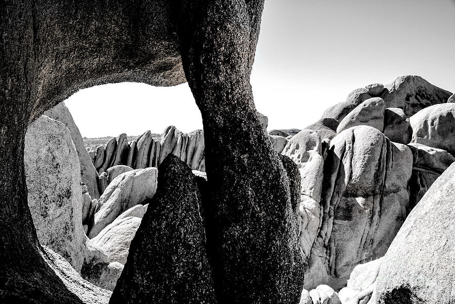 Boulders Joshua Tree Photograph by Baywest Imaging