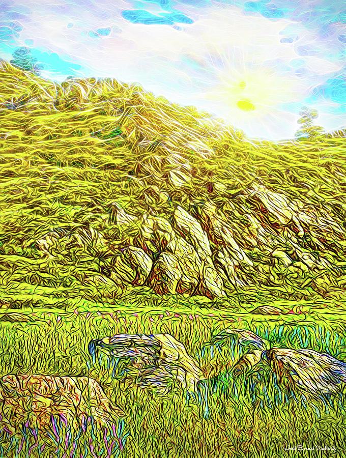 Boulders Of The Mountain - Colorado Meadow Digital Art by Joel Bruce Wallach