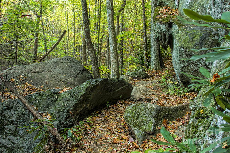 Boulders on the Bear Hair Gap Trail Photograph by Barbara Bowen