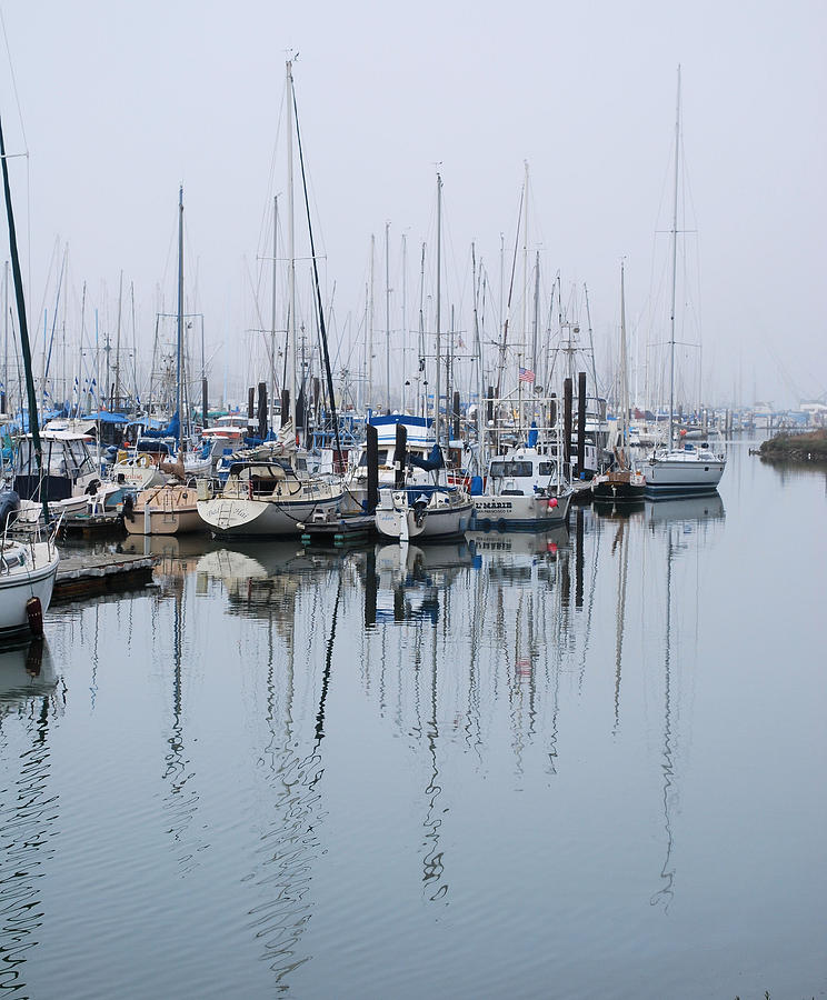 Bound by Fog at Moss Landing CA Photograph by Gerald Carpenter