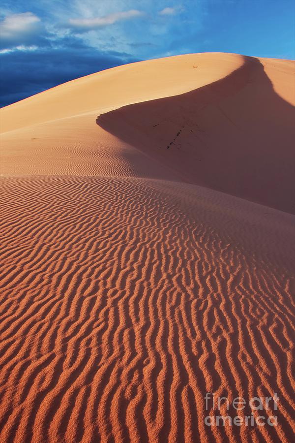 Abstract Photograph - Boundless Dune ll by Hideaki Sakurai