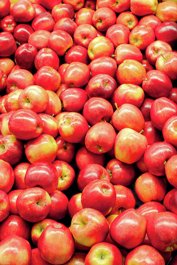 Bountiful Apples Photograph by Todd Klassy