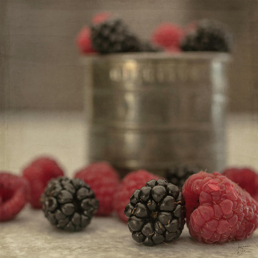 Bountiful Berries 2 Photograph by Teresa Wilson