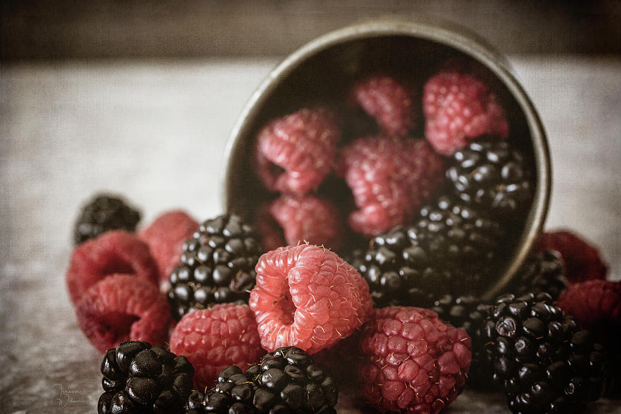 Bountiful Berries Photograph by Teresa Wilson