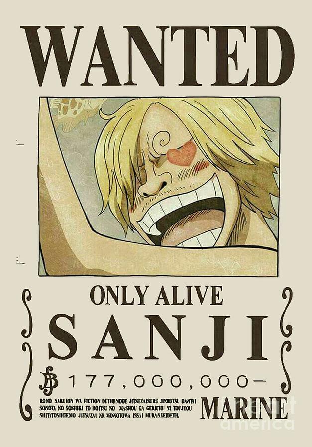 One Piece Wanted Sanji