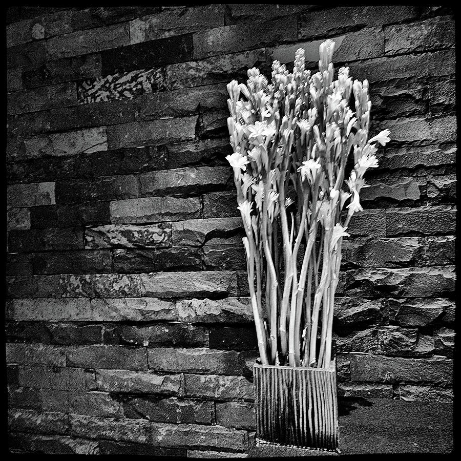 Bouquet Photograph by Andrei SKY