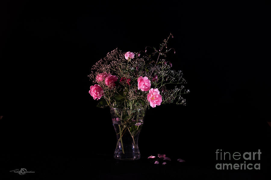 Bouquet in Rosa Photograph by Torbjorn Swenelius