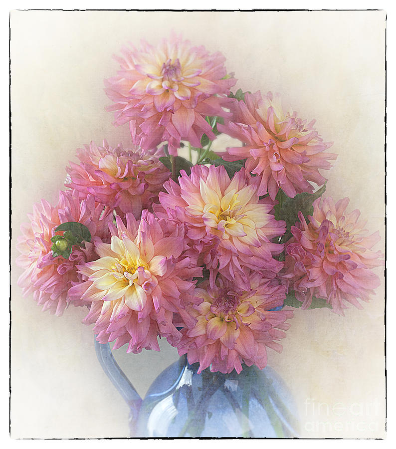 Flower Photograph - Bouquet of Dahlias by Ann Jacobson