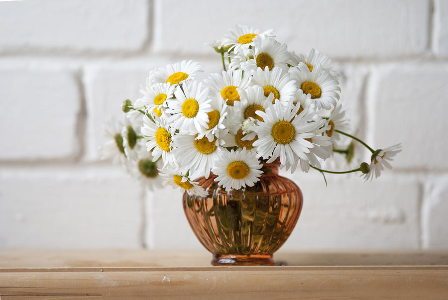 Flower Photograph - Bouquet Of Daisies by Olga Streikmane