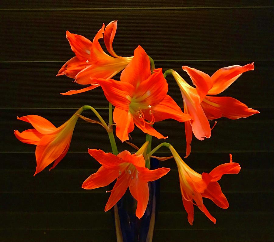 Bouquet of Dancing Lilys in Orange Pele Aloha  Photograph by Joalene Young