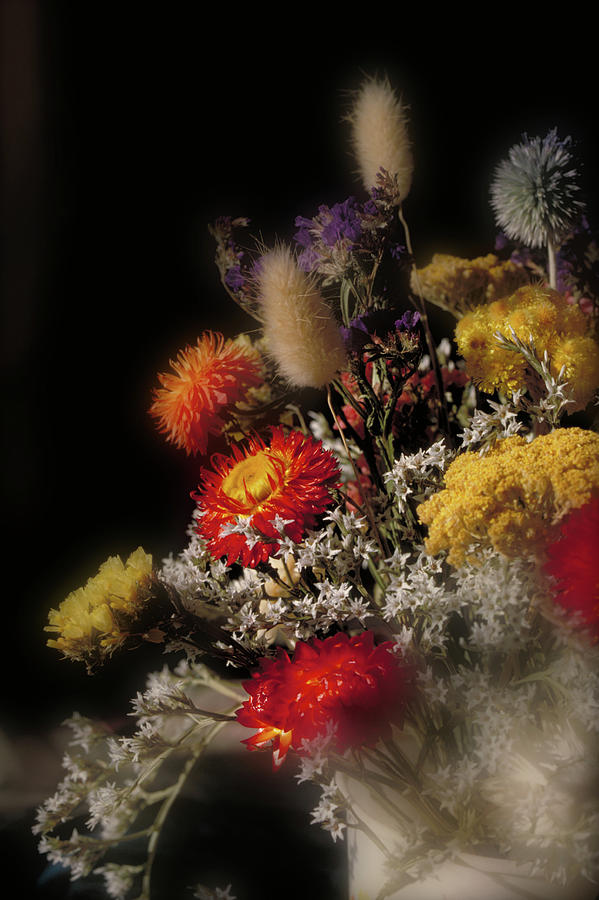 Bouquet of dried flowers Photograph by Garry McMichael