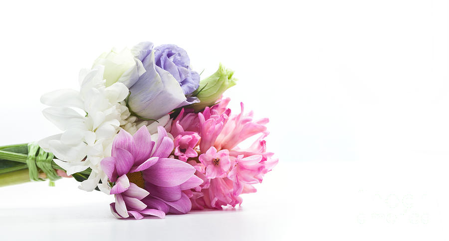 Flower Photograph - Bouquet of fresh flowers isolated on white by Michal Bednarek