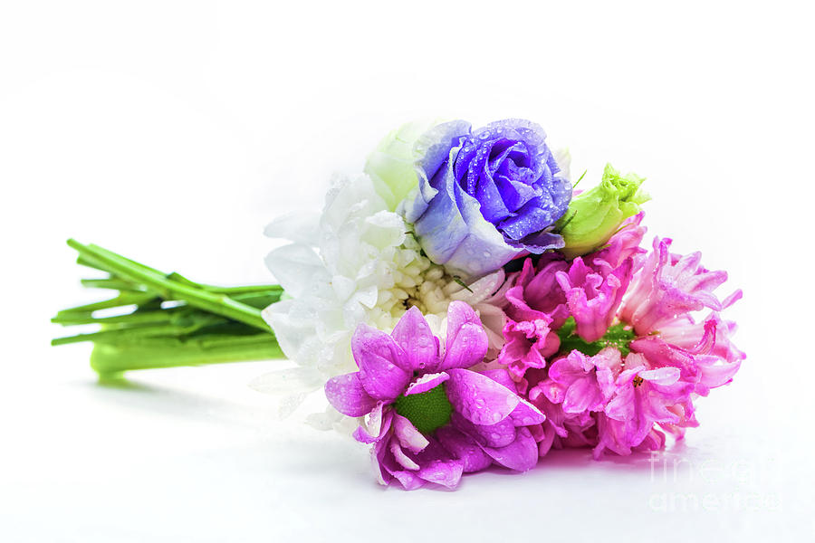 Bouquet of fresh spring flowers. Photograph by Michal Bednarek