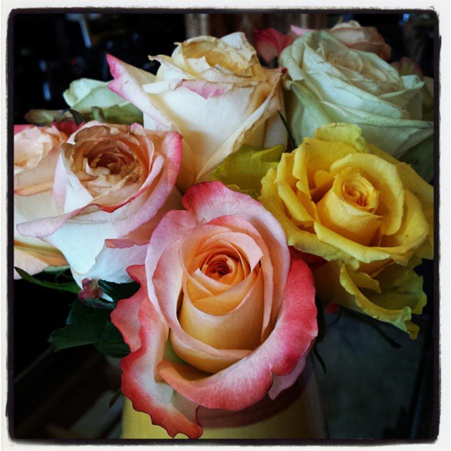 Bouquet Of Mature Roses At The Counter Photograph by Mr Photojimsf