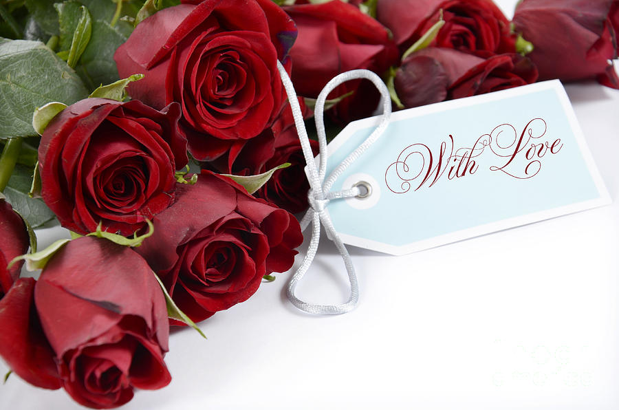 Bouquet of red roses on white background. Photograph by Milleflore Images