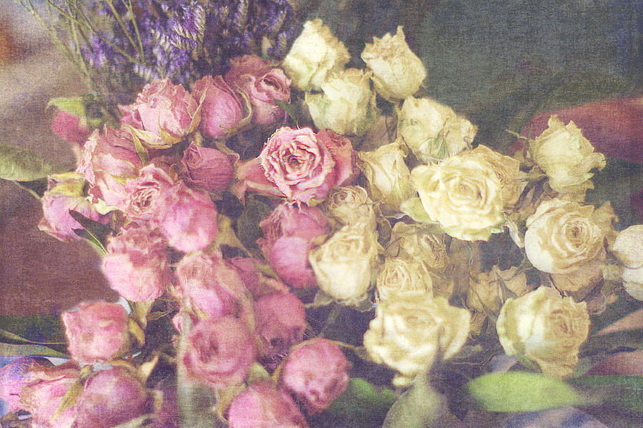 Bouquet Of Romantic Faded Roses Photograph by Suzanne Powers