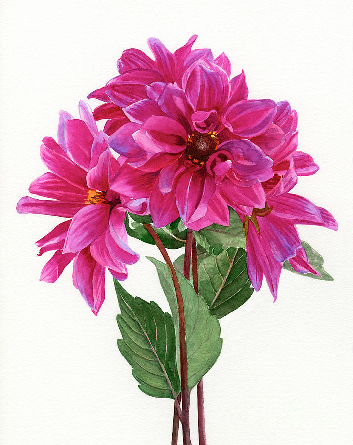 Bouquet Of Rose Violet Dahlias Painting by Sharon Freeman
