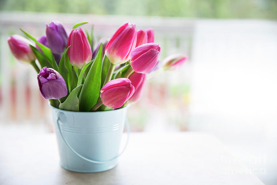 Bouquet Of Tulips Photograph