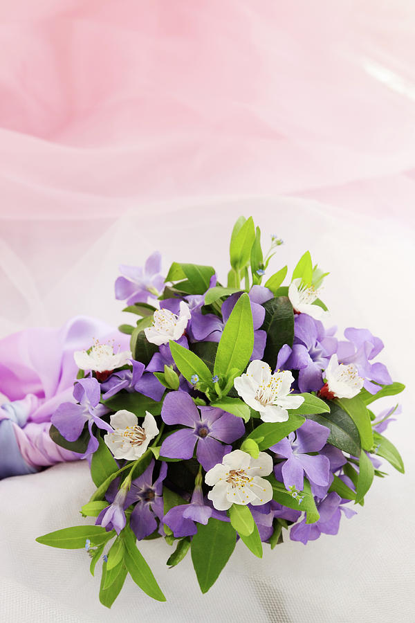 bouquet of violets by Iuliia Malivanchuk Photograph