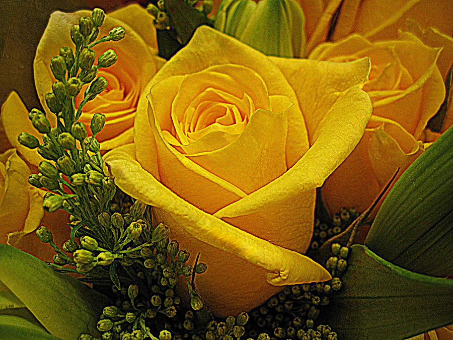 Flower Photograph - Bouquet of Yellow Roses by Bonita Brandt