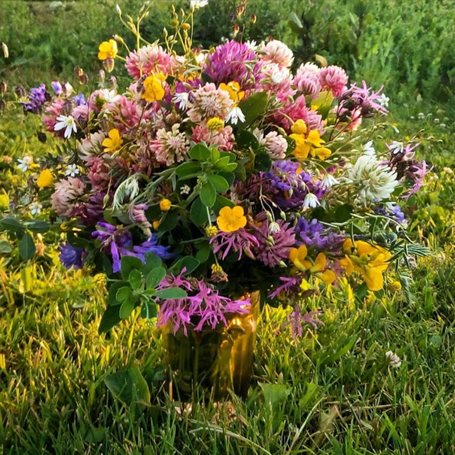 Summer Photograph - #bouquet #wildflowers #flowers #summer by Olga Strogonova