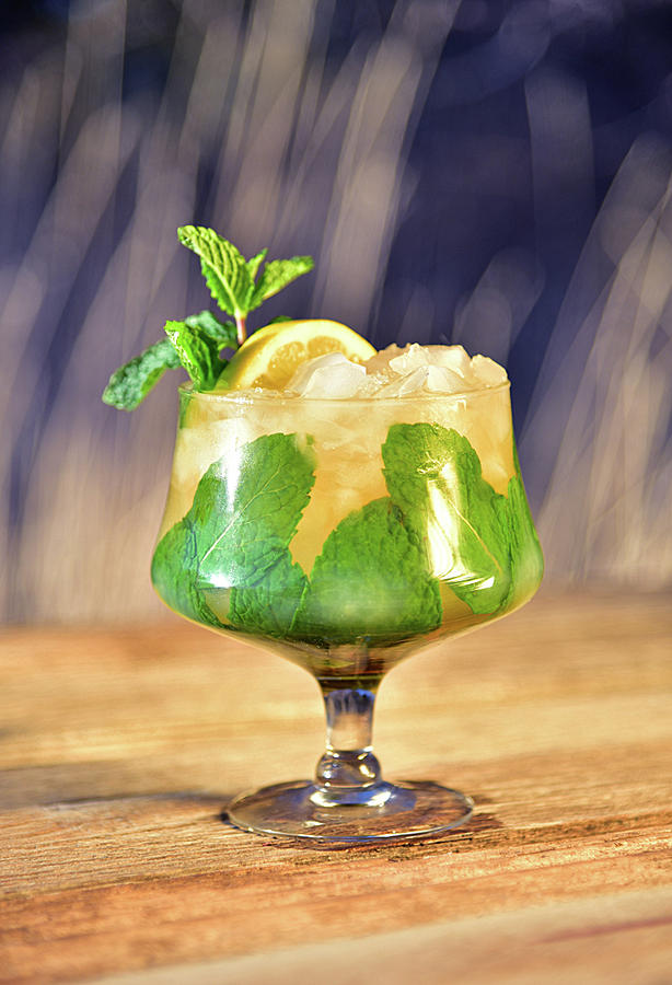 Cocktail Photograph - Bourbon and Mint Cocktail by Eneida Gastal-Keith