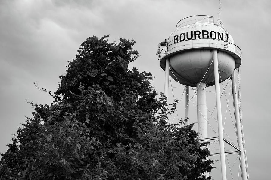 Bourbon Tower And Tree - Black And White Photograph