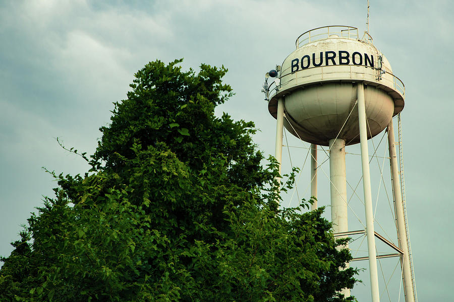 Landscape Photograph - Bourbon Tower and Tree by Gregory Ballos