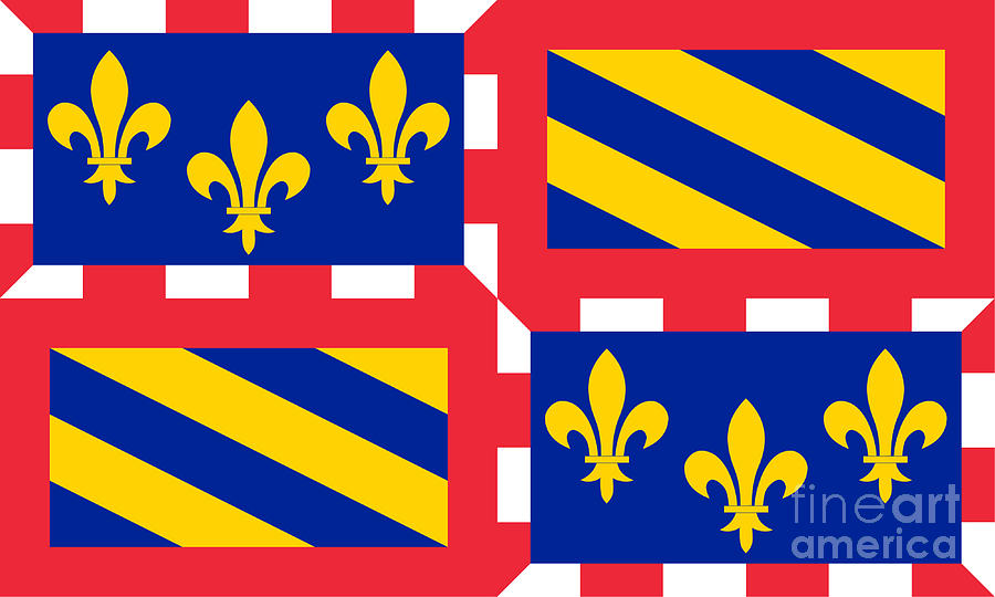 Bourgogne Flag Digital Art