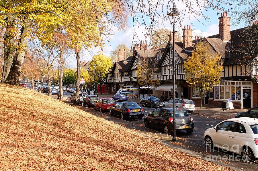 Bournville Village Gold 1 Photograph by John Chatterley - Fine Art America