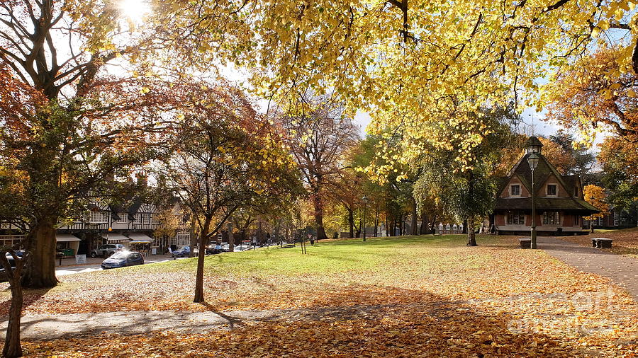 Bournville Village Gold 3 Photograph by John Chatterley | Fine Art America