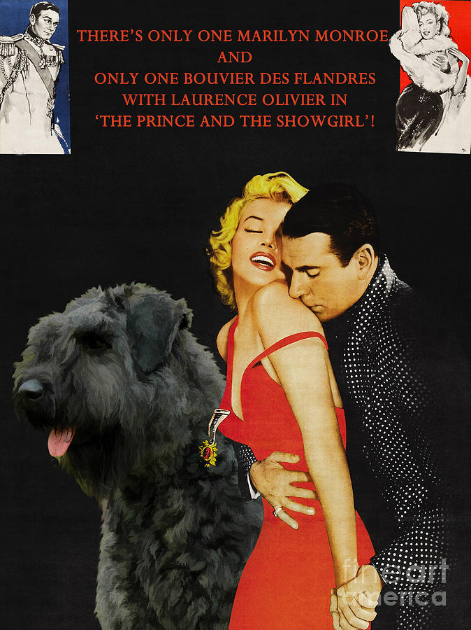 Bouvier des Flandres - Flanders Cattle Dog Art Canvas Print - The Prince and the Showgirl Movie Post Painting by Sandra Sij